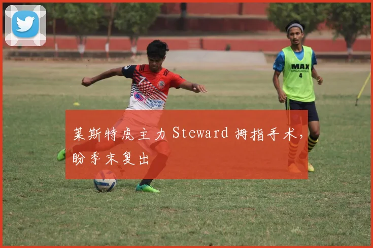 莱斯特虎主力 Steward 拇指手术，盼季末复出